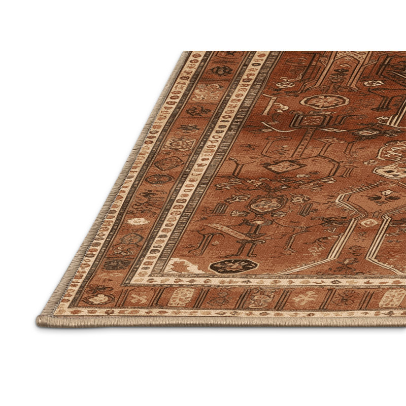 Tapis brun turc lavable à la machine, Rectangulaire 2 pi x 3 pi