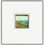 Solarized Color Photos 1 Framed Photographic Print