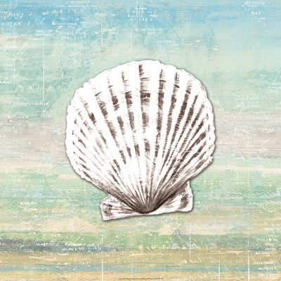 Seashell 1 - Wrapped Canvas Painting