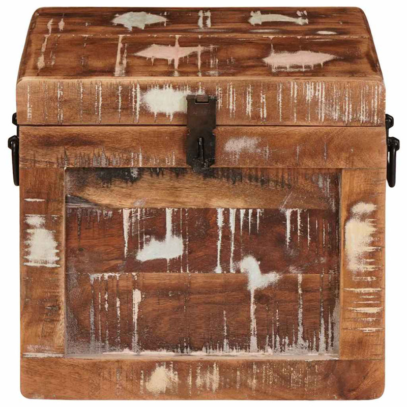 Storage Box with Storage with Door with Lock Brown Trunk Indoor Bedroom, Multicolour