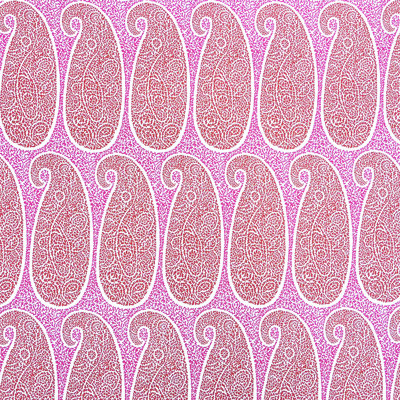 Lorenzo Castillo Volume V Paisley Fabric