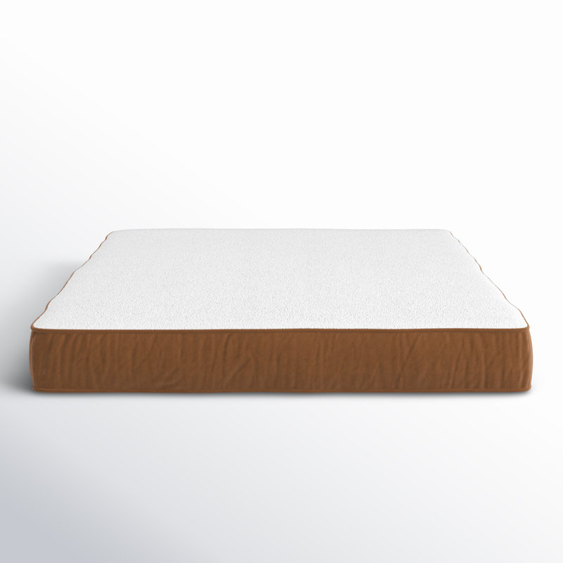 Lit pour chien avec coussin de soutien, Café au lait, Grand (l 48 po x P 36 po x H 4 po)