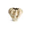Timna Vase - Extra-Short-486665393