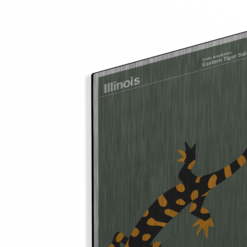 "State Posters IL" par Print Collection, H 16 po x l 12 po