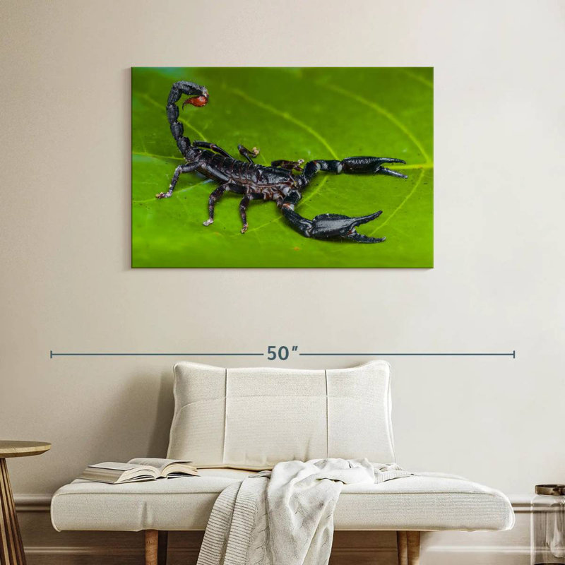 Forest Scorpion, 26" H x 39" W