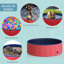 Pattie 30cm H x 100cm W x 100cm D Plastic Foldable Dog Pool