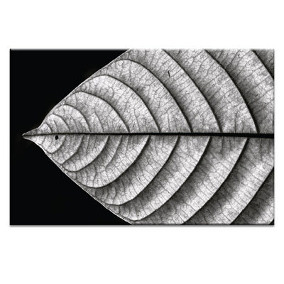 Print on Canvas