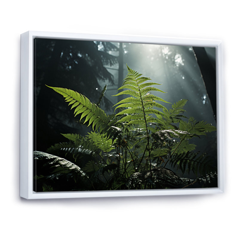 " Ferns Close Up Photo VII ", 16" H x 32" W, Cadre flottant blanc