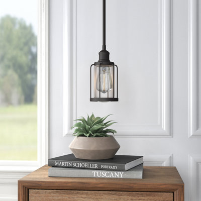 Leyden 1-Light Steel Bell Pendant with Clear Glass Shade 