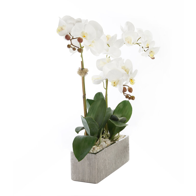 Orchid Faux Floral Arrangement in Pot