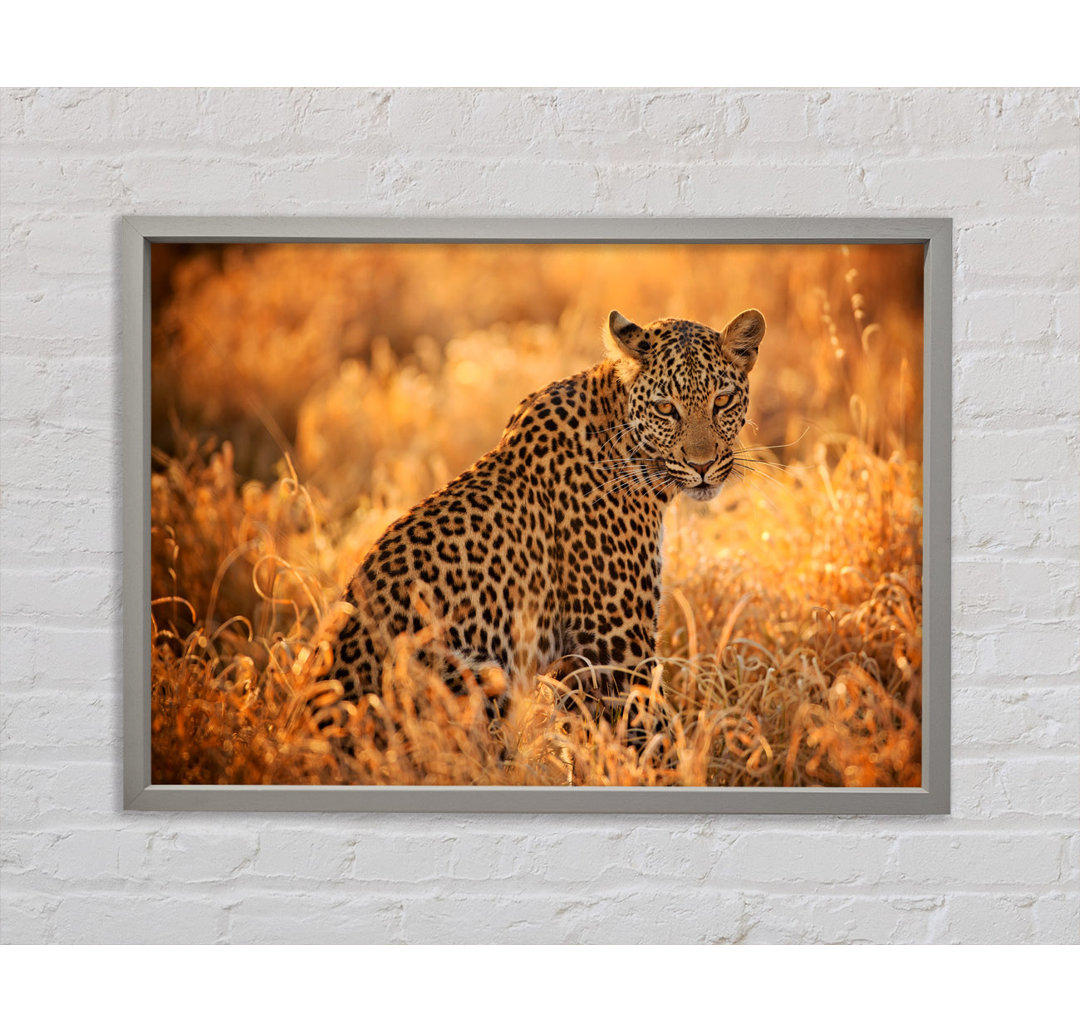 Leopard Sunset - Einzelner Bilderrahmen Kunstdrucke auf Leinwand