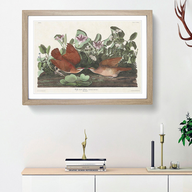 Key-West Doves by John Audubon - Picture Frame Art Print, Oak Framed, 27cm H x 36cm W x 2cm D