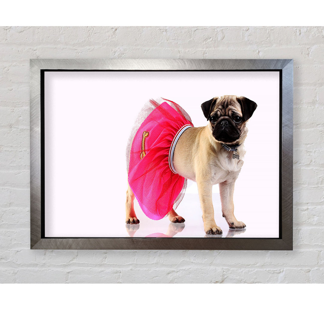 Mops Hund Tutu - Druck