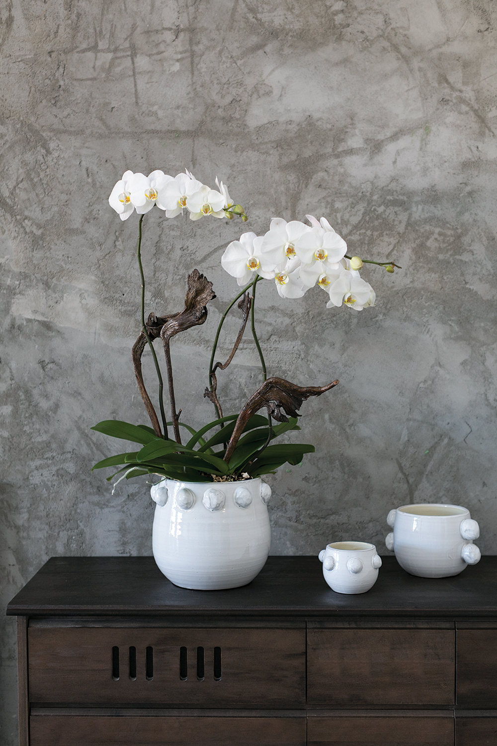 Ceramic Pot Planter, 3.5" H x 5" W x 5" D