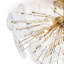 Poppy 5 - Light Semi Flush Mount