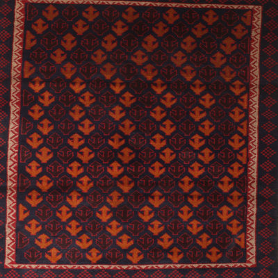 Oriental Indoor Rug