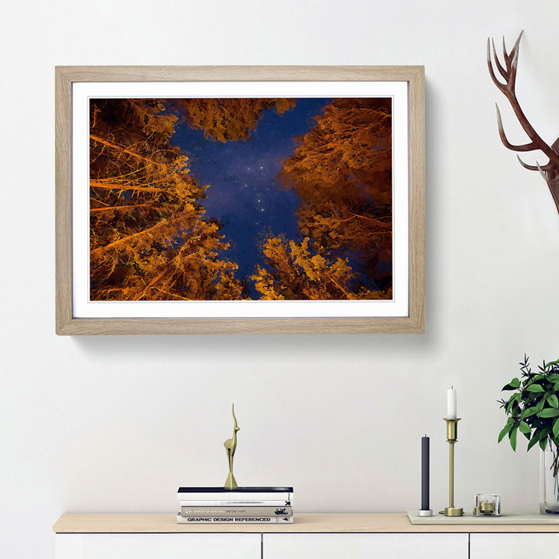 Forest Stars in Canada - Picture Frame Graphic Art Print, Oak Framed, 48cm H x 65cm W x 2cm D
