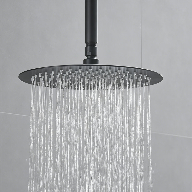 12-Inch High-Pressure Rain Shower Head With Shower Arm, Matte Black