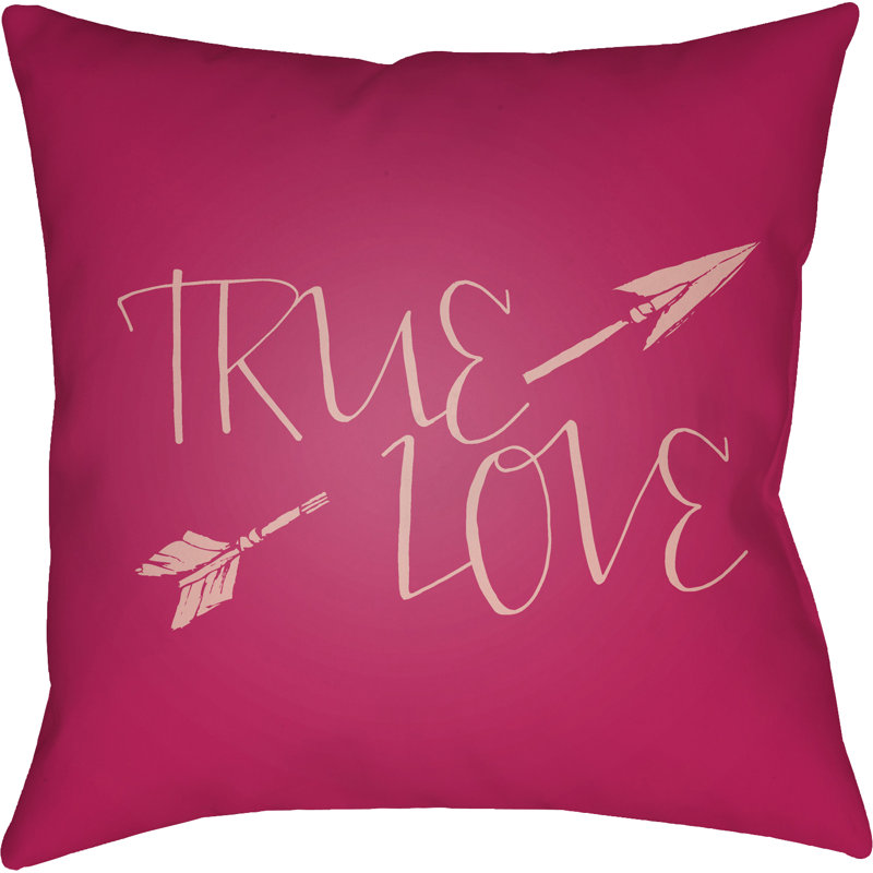 Indoor/Outdoor Throw Pillow, 20" H x 20" W x 4" D, Pink