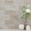 Carreau de mur et de brique en porcelaine matte 5 po x 10 po Montello-36931503