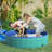12'' Foldable Dog Pool-33695656