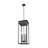 Jens 5 Light Outdoor Chain Mount Ceiling Fixture