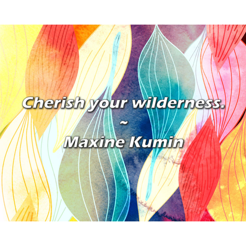 Citation de Maxine Kumin: Chérissez votre nature sauvage.