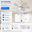 Alisha-Ann 75cm Ceiling Fan with Light Kit-905805416