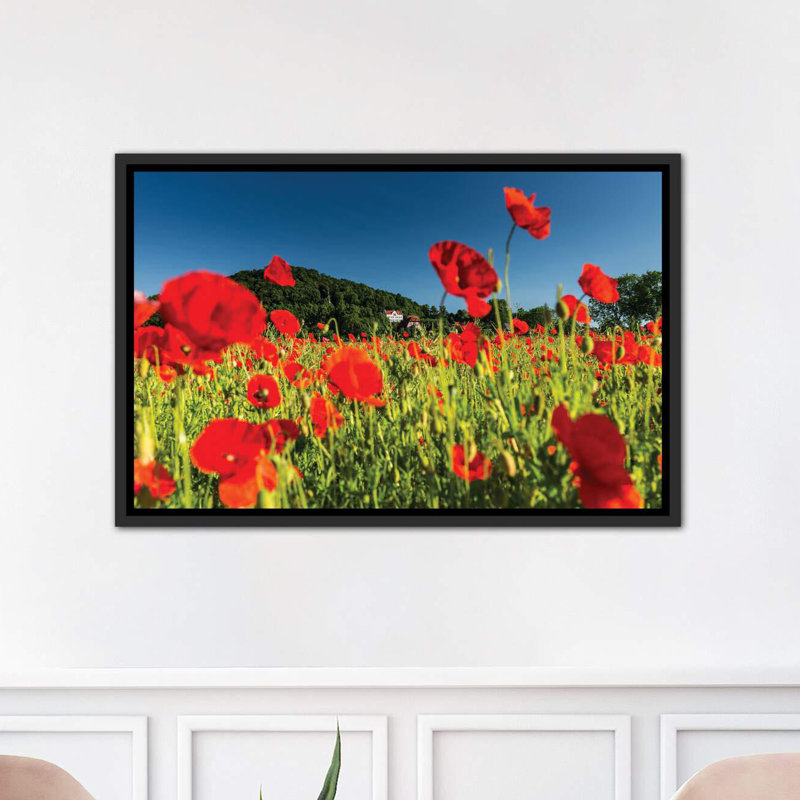 « pologne, dépiléy field » par mikolaj gospodarek-impression photo, H 26 po x l 40 po x P 1,5 po, Toile avec cadre noir