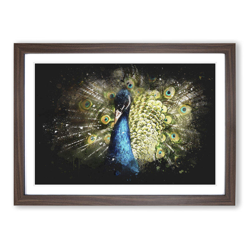 Peacock Vol.2 - Picture Frame Graphic Art, Walnut Framed, 65cm H x 90cm W x 2cm D