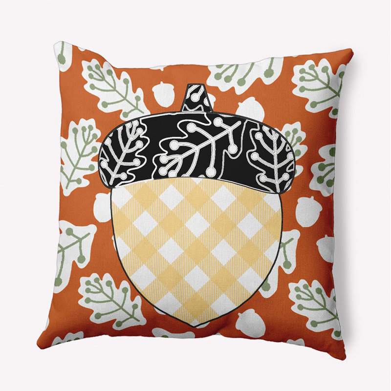 Coussin intérieur / extérieur Acorn, H 20 po x l 20 po, Poussière d'orange, Carré