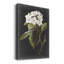 Fleurs blanches dramatiques I - impression-2015476550