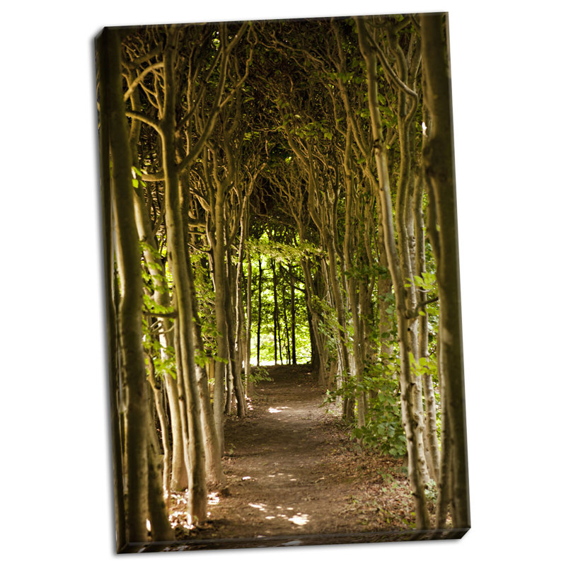 « path through the trees », reproduction de photo sur toile tendue