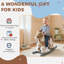 Kids Rocking Horse