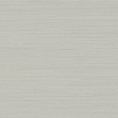 Rouleau de papier peint L 33 pi x l 20,5 po Doss