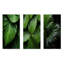Ensemble de 3 décorations murales en métal Palm Leaves Serenity - Palmiers et palmiers-1071357725