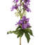 Delphinium Arrangement-1326869722