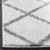 Darrold Shag Performance Geometric Rug