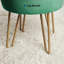Velvet Storage Upholstered Accent Stool-1350656522