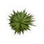 Plante artificielle