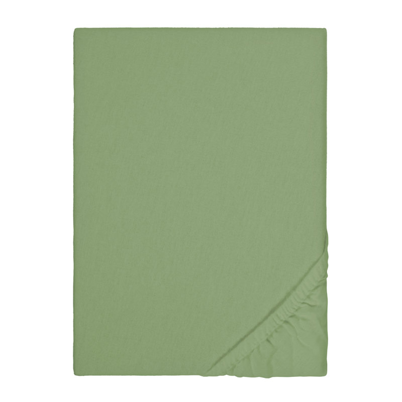 Fine Plain 165 Thread Count 100% Cotton Fitted Sheet, Super King (6'), Spruce