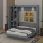 Lit escamotable mural Murphy avec tablettes, garde-robe et DEL-2105862109-2105862110