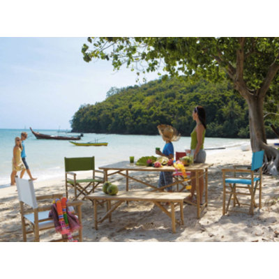 Yohana Folding Director Chair