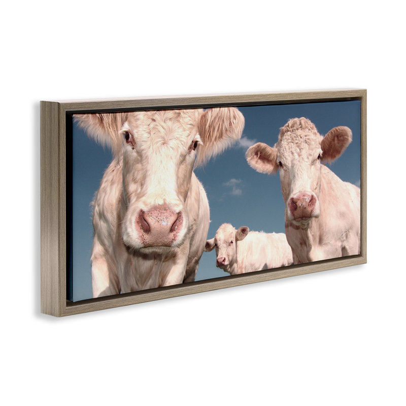 Trois vaches, Cadre flottant orme Montalcino, H 11 po x l 25 po