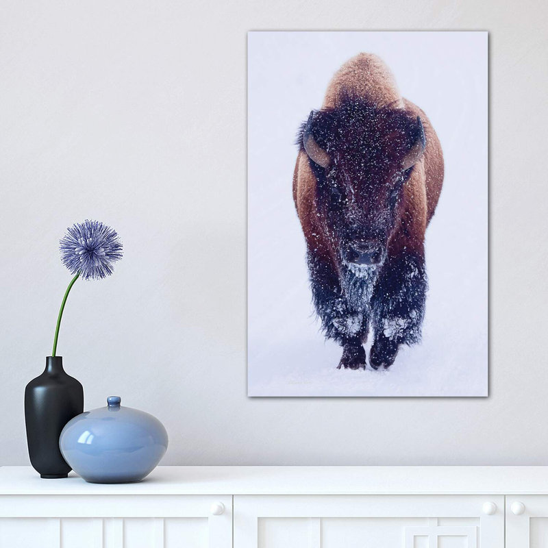 «Bison In Snow» - reproduction, H 18 po x l 12 po x 1,5 po, Toile tendue