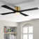 Assemgul 60'' Ceiling Fan with LED Lights