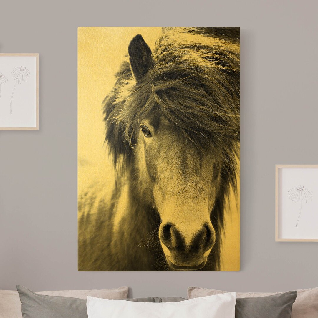 Leinwandbild Icelandic Horse in Black and White von Monika Strigel