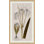17th Century Wild Flower Studies I Painting by Soicher Marin Archives