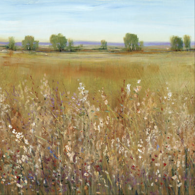 Abondance de fleurs sauvages I