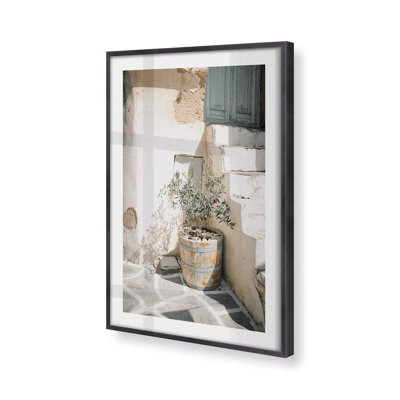 Olive Tree in the Sun Print